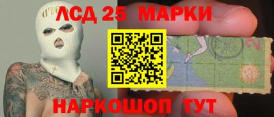 Альфа ПВП Гатчина