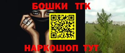 Альфа ПВП Гатчина