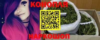 прущие грибы Гагарин