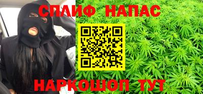 дживик Гай