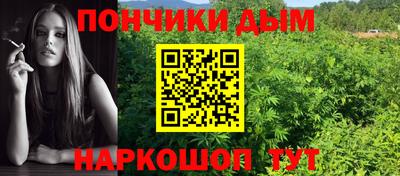 Альфа ПВП Гатчина