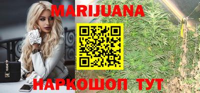 дживик Гай