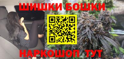 Альфа ПВП Гатчина