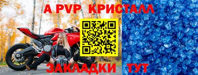 прущие грибы Гагарин