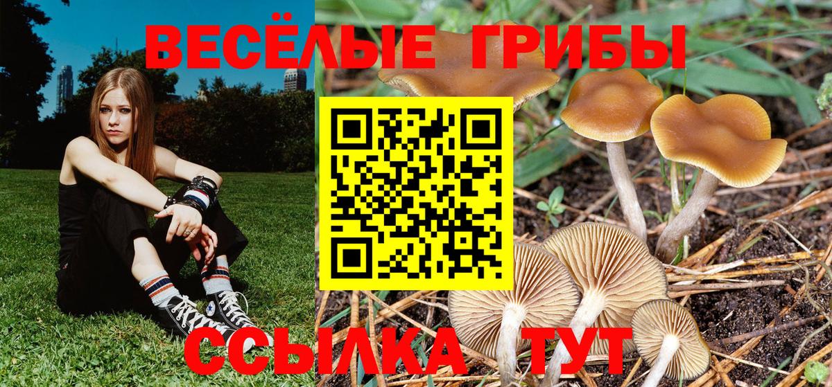 Псилоцибиновые грибы мухоморы Наро-Фоминск